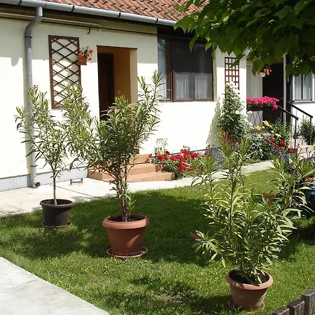 Rózsa