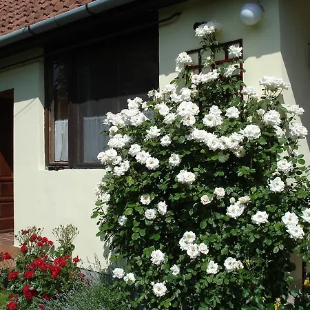 Apartman Rózsa *
