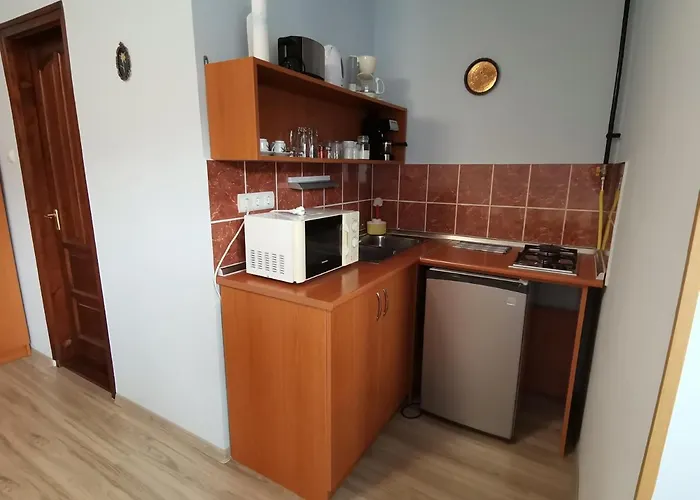 Rozsa Appartamento Gyula