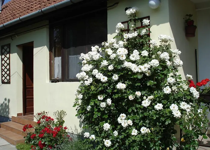 Apartament Rozsa *